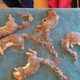 Illustration for article titled Five Baby Squirrels Who Got Their Tails Tangled in a Knot Are Fine Now, Thanks